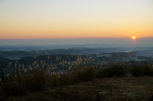 国富町の人口17,356人を調べて思わず笑った小さな発見録😄