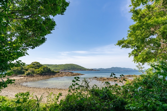 16,357人の門川町人口が気になり…つい検索してしまった😅🌼