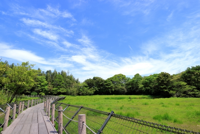 高鍋町の人口18,799人らしい…ちょっと調べてみた