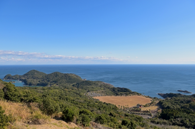 日向市の人口55,956人📉減少の理由が気になり調べてまとめた